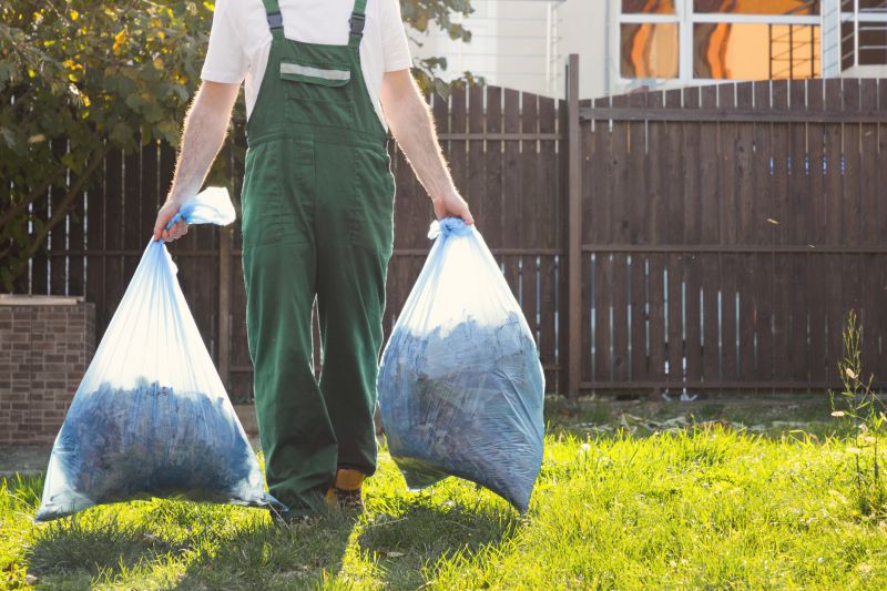 Ditch Clearing Service