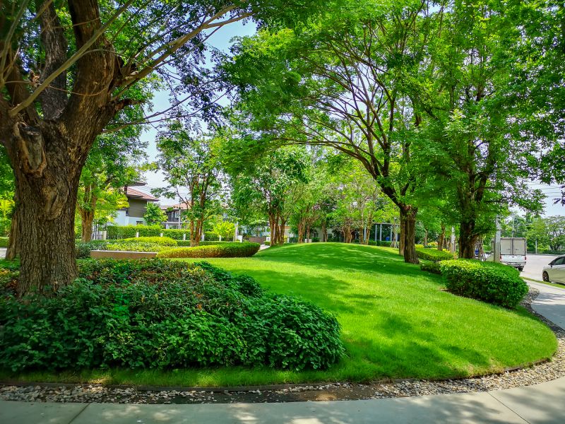 Curb Appeal Landscaping
