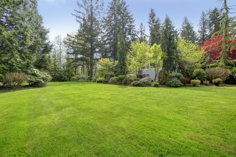 Deck Landscaping Service in Ventura County, CA