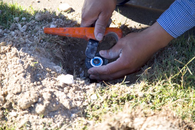 Grass Repair