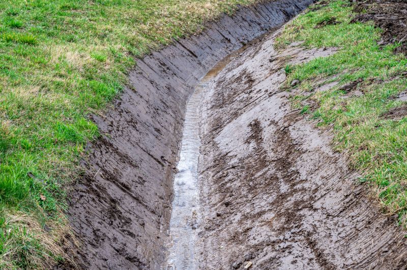 Lawn Erosion Repair