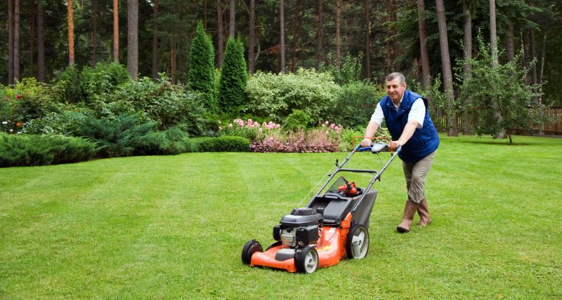 Lawn Repair Service
