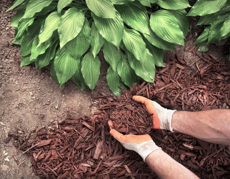 Mulch Spreading