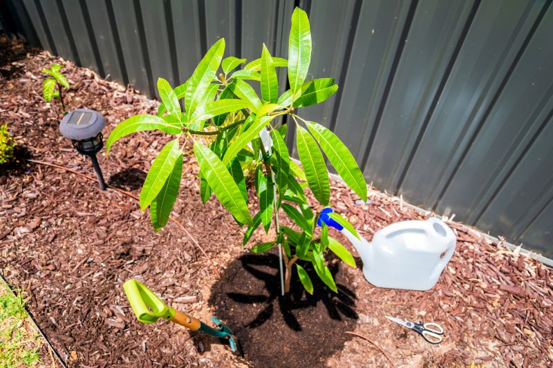 Orchard Planting in Honolulu, HI