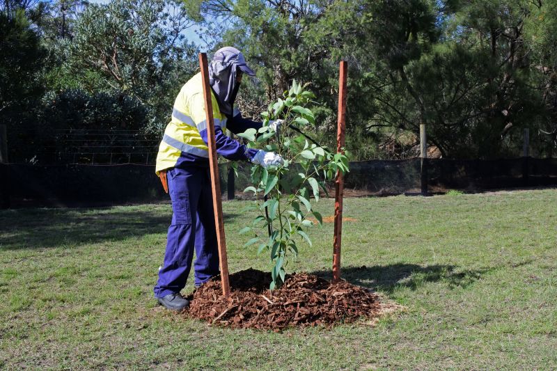 Ornamental Tree Planting in Ventura County, CA