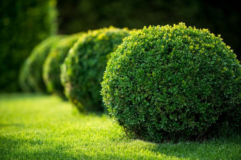 Residential Landscaping in Honolulu, HI