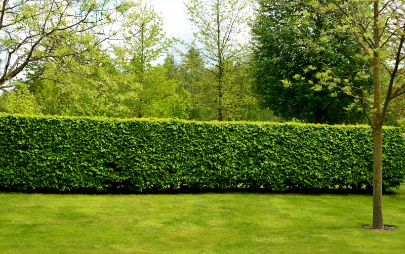 Softscaping Service in Honolulu, HI