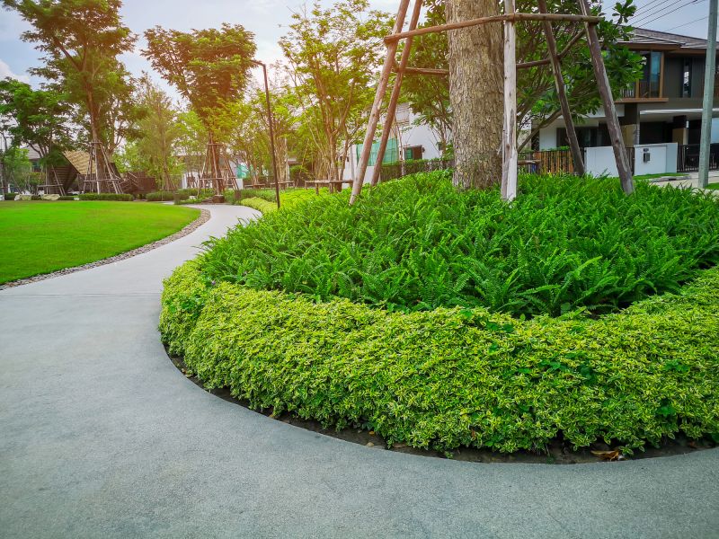 Tree Curbing Installation
