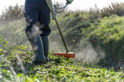 Keep the Ditch Clear of Debris
