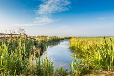 Protect the Area from Flooding