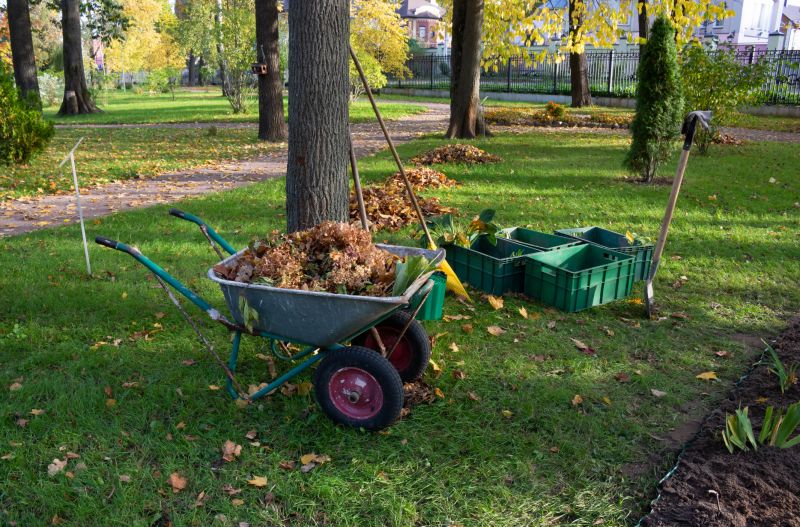 Ditch Clearing Services Overview