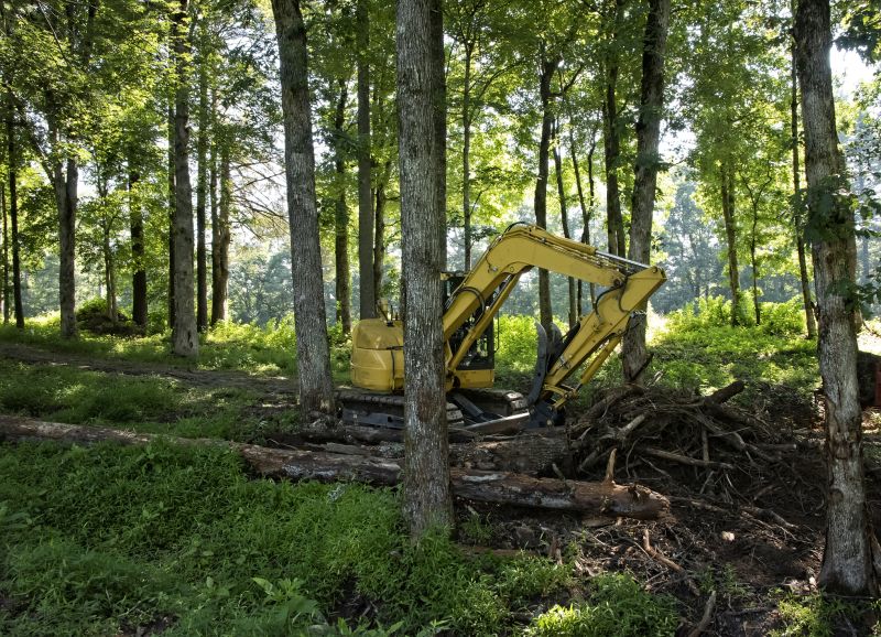 Professional Ditch Clearing Services