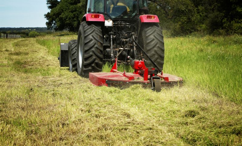 Ditch Clearing Services Overview