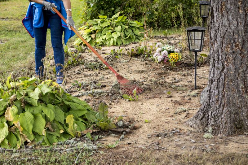 Clear Your Property with Expert Ditch Clearing Services